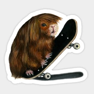 Skateboarding Guinea Pig Sticker